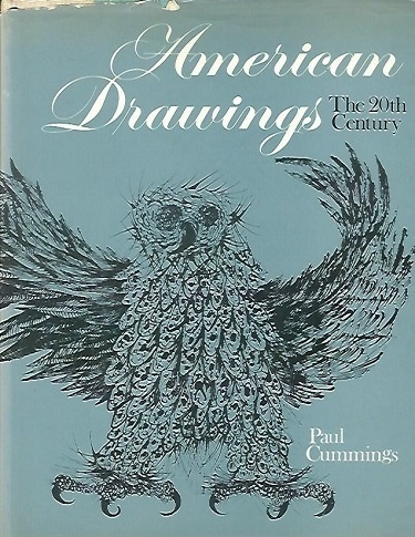 Image for American Drawings The 20th Century