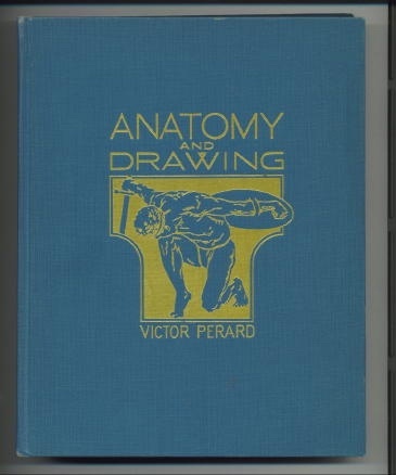 Image for Anatomy And Drawing
