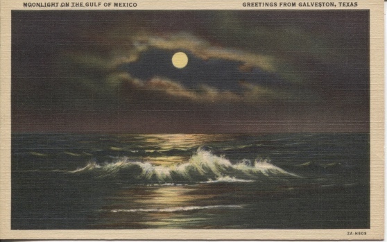 Image for Moonlight On The Gulf Of Mexico, Greetings From Galveston, Texas