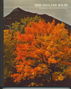 Image for New England Wilds
