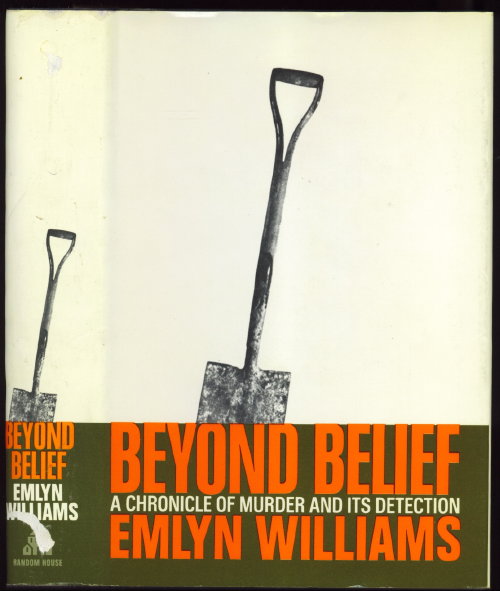 Image for Beyond Belief