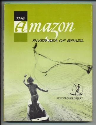 Image for THE AMAZON