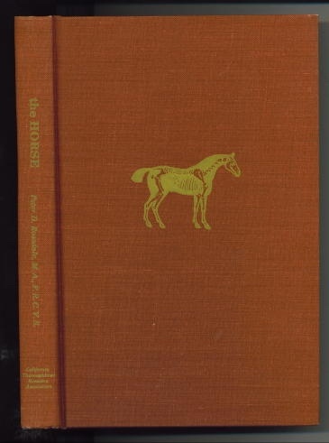 Image for The Horse