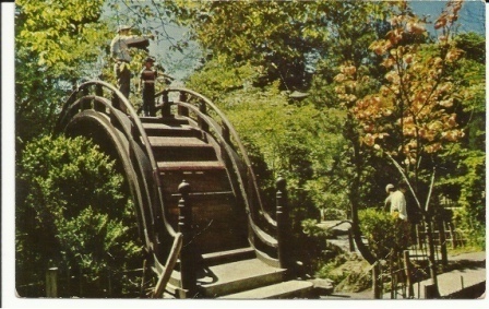 Image for Oriental Tea Garden In Golden Gate Park