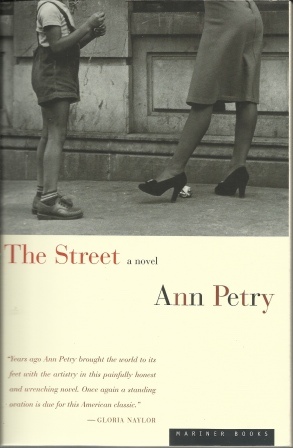 Image for The Street A Novel